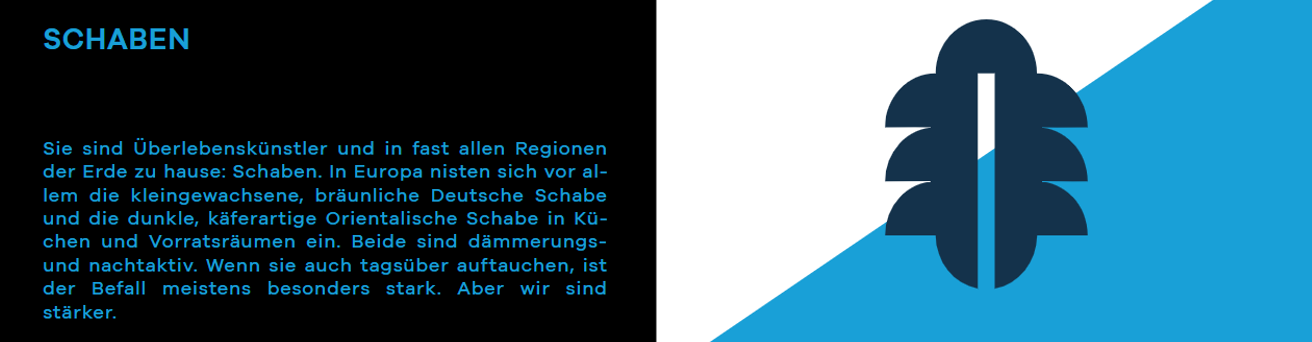 Schaben-Freivon-Schädlingsbekämfung