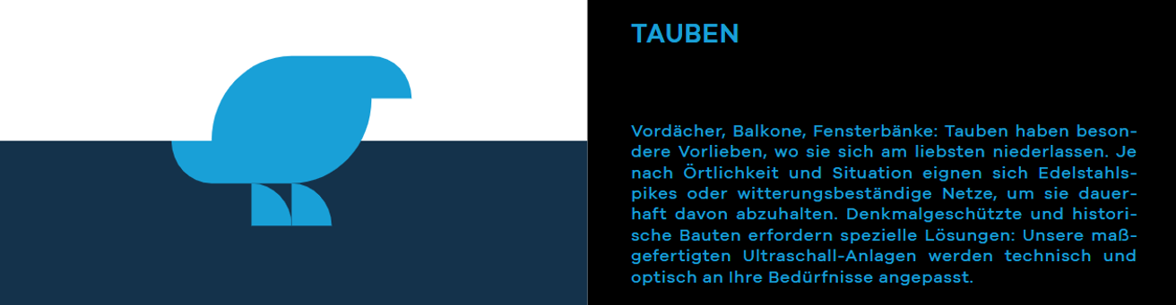 Tauben-Freivon-Schädlingsbekämfung