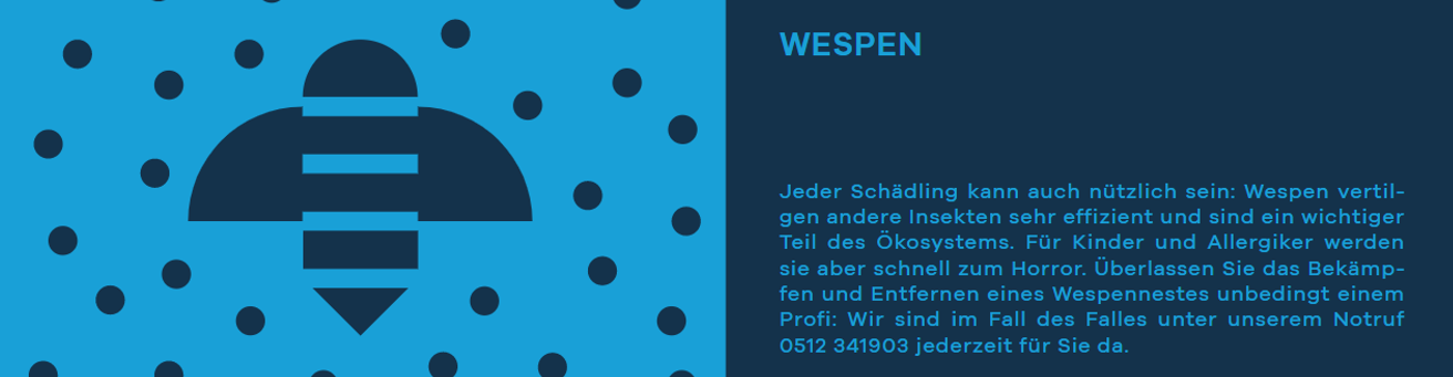 Wespen-Freivon-Schädlingsbekämfung